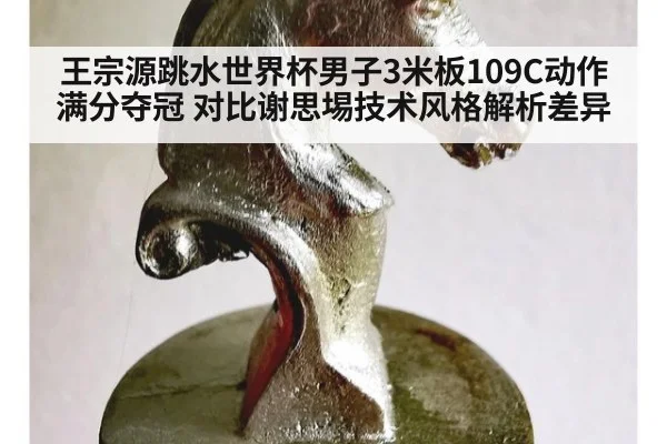 王宗源跳水世界杯男子3米板109C动作满分夺冠 对比谢思埸技术风格解析差异